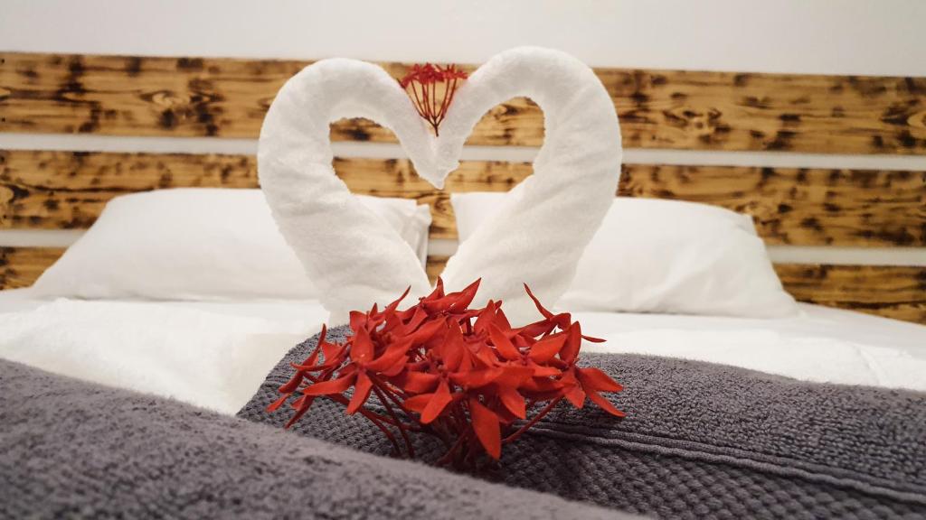 Thoddoo Island Life - 6