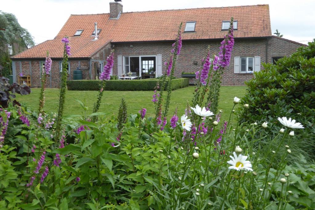 Zahrada ubytování Vakantiewoning Jérôme