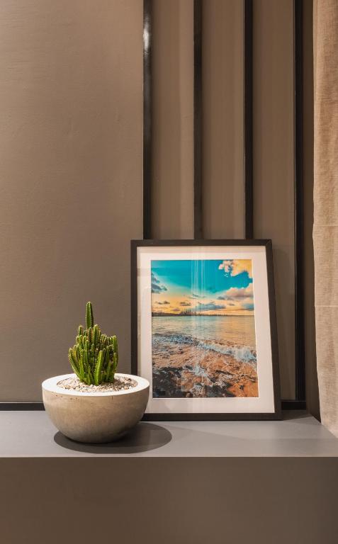  Cactus Apartment - estiloso apartamento próximo a praia