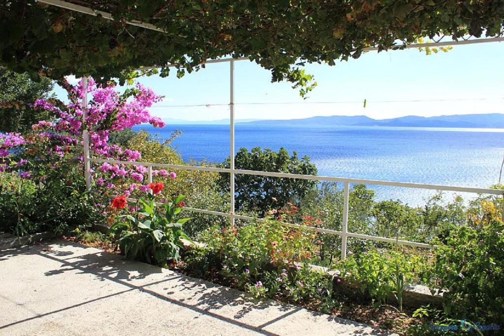 een uitzicht op de oceaan vanuit een tuin met bloemen bij Apartments Niko - 50m from beach in Pisak