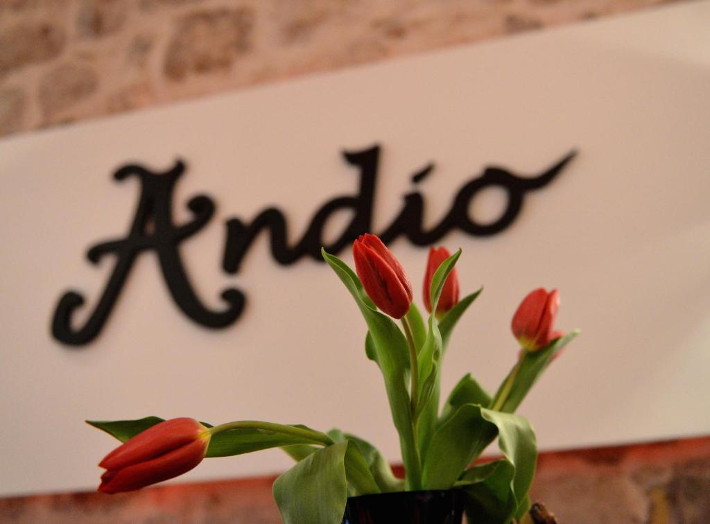 Certifikát, ocenenie alebo iný dokument vystavený v ubytovaní Bed&Breakfast Andio