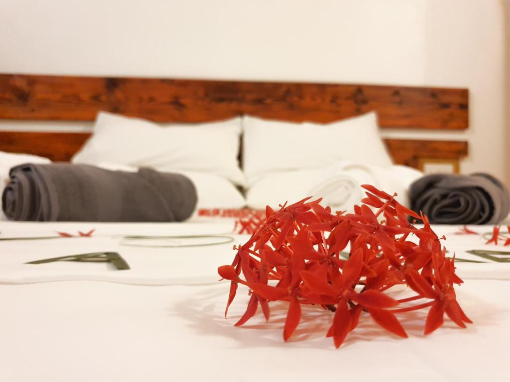 Thoddoo Island Life - 10