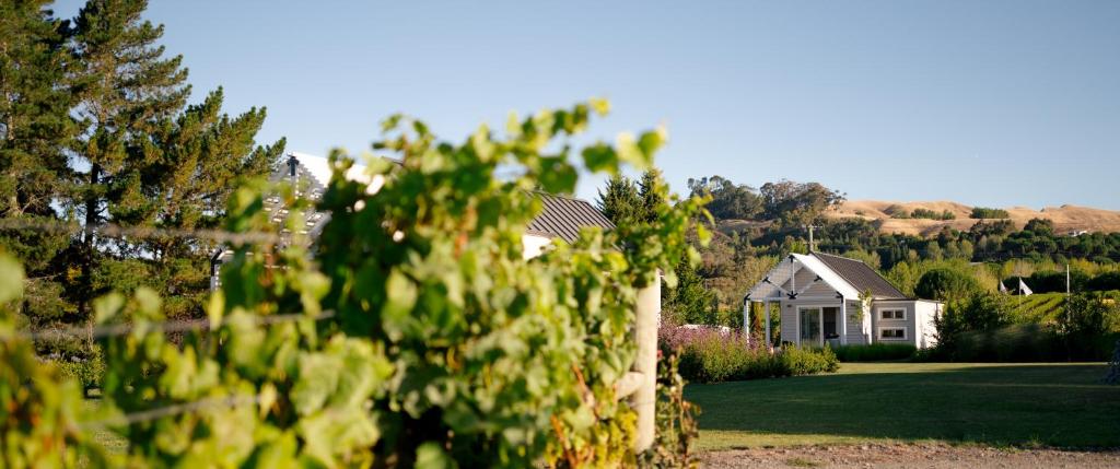 una casa con una valla delante de un patio en 305 in the Vines, en Havelock North