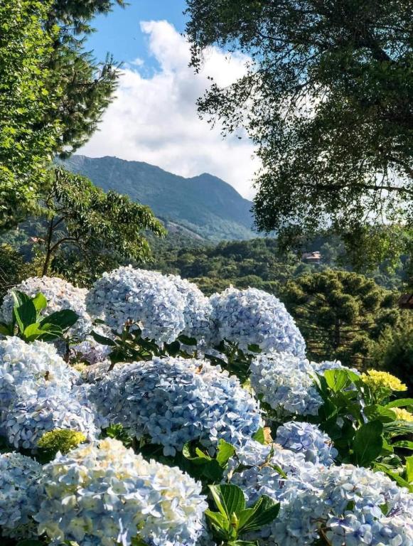  Chalé dos Alpes II em Monte Verde