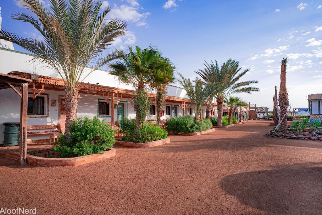 a street with palm trees and a building at Mirage Village in Dahab