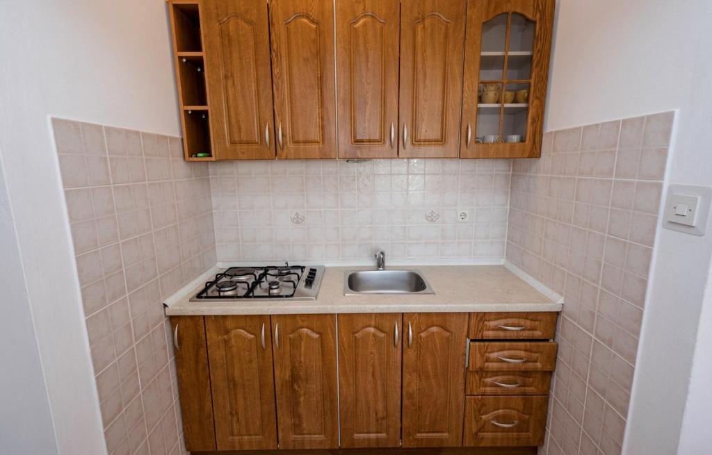 Kuchyňa alebo kuchynka v ubytovaní Apartment Ante Kampor