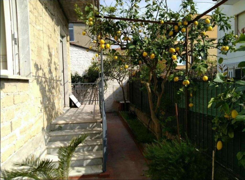 Casa delle bambole - Huis Met één Slaapkamer