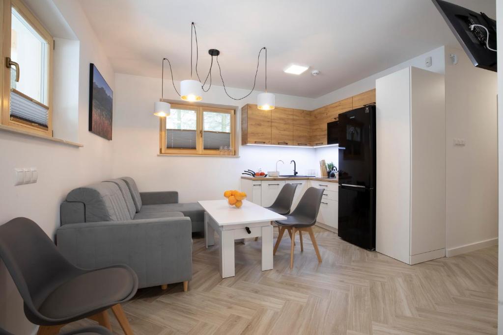 TatryTop Apartamenty Alpejski SPA - 露台4号公寓