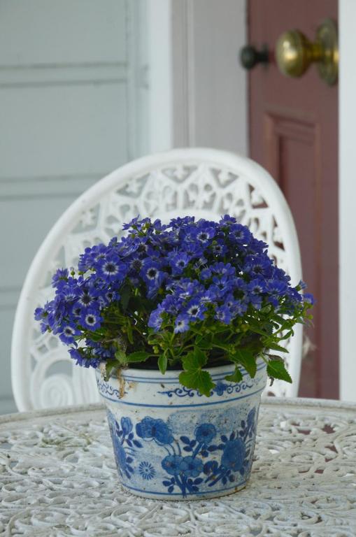 The Saddlery - Resim 25