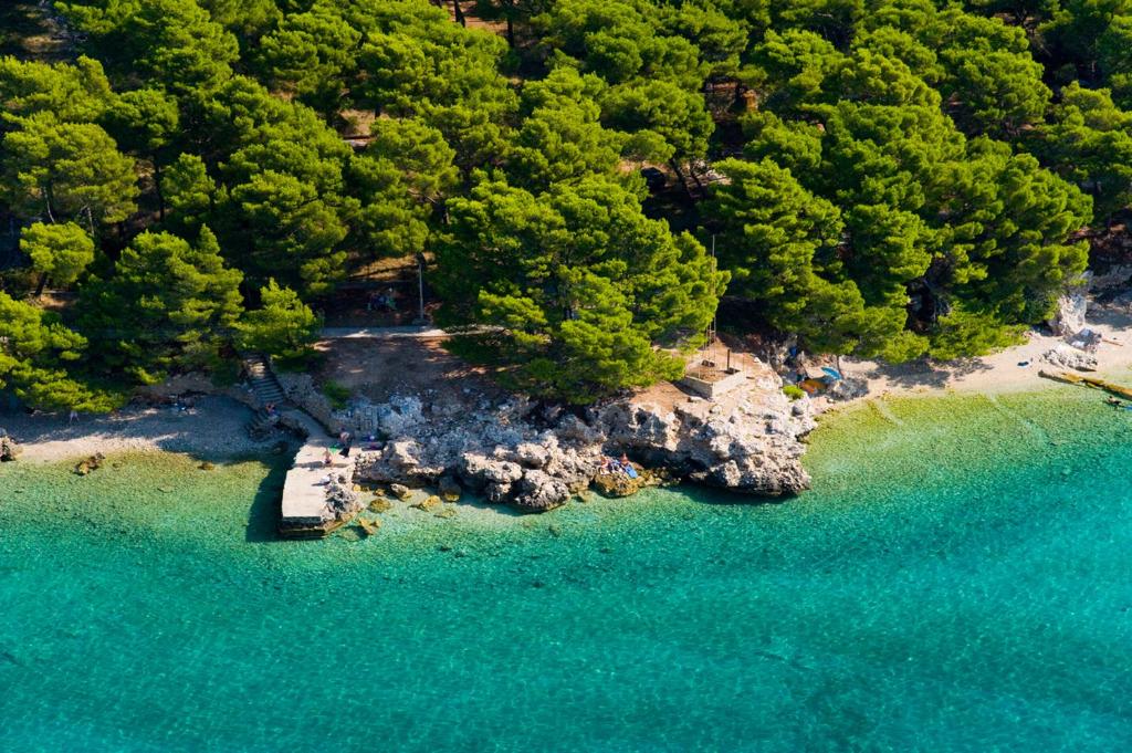 an aerial view of a beach with trees and water at Mobile Homes Camp Baško Polje - Adriatic Kampovi in Baška Voda