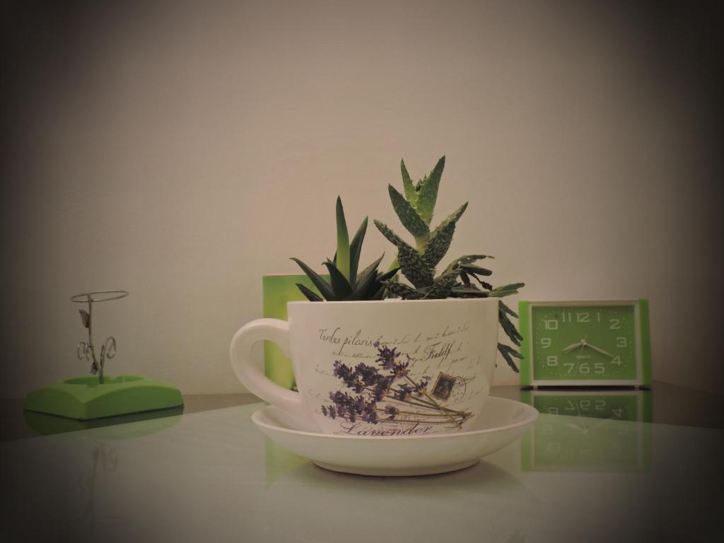 Apartments Lana - 18