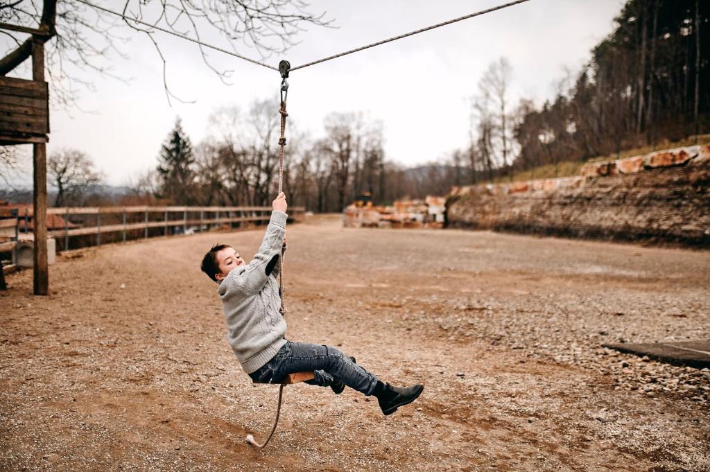 a man is jumping on a swing at Tmbin's barn - nature, horses, family in Sežana