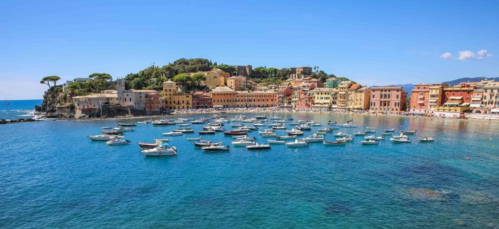 un grupo de barcos en el agua cerca de una ciudad en Grand Hotel Dei Castelli, en Sestri Levante