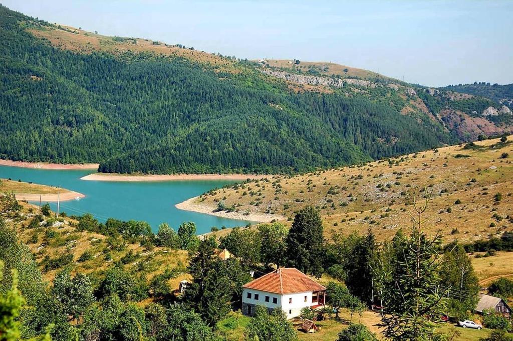 een huis op een heuvel naast een meer bij Etno domacinstvo Saponjic in Nova Varoš