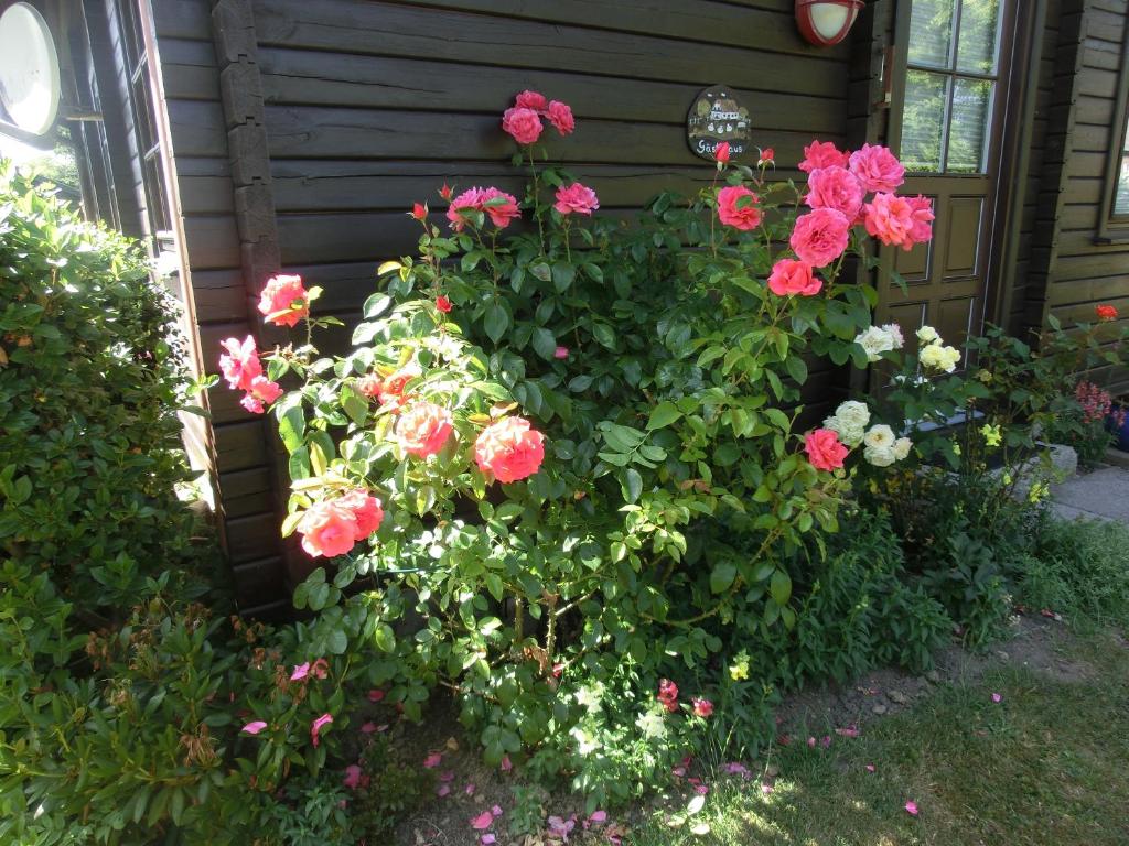 a bunch of flowers in front of a house at Kastanienhof in Kalleby