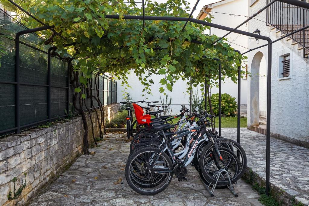 Jazda na bicykli v okolí ubytovania Charming Funtana apartments + Free Bikes