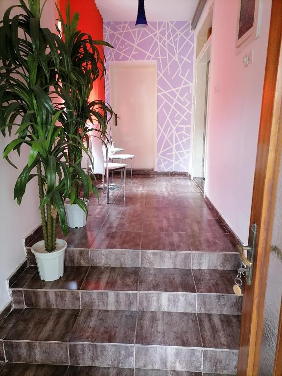 Fotografija u galeriji objekta Smestaj u okviru domacinstva SOBE SOSA u gradu Palić