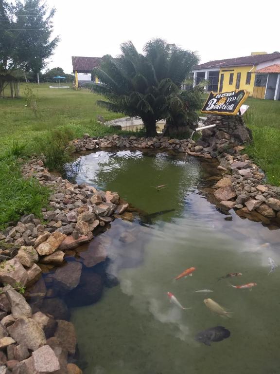  Fazenda Biribeira