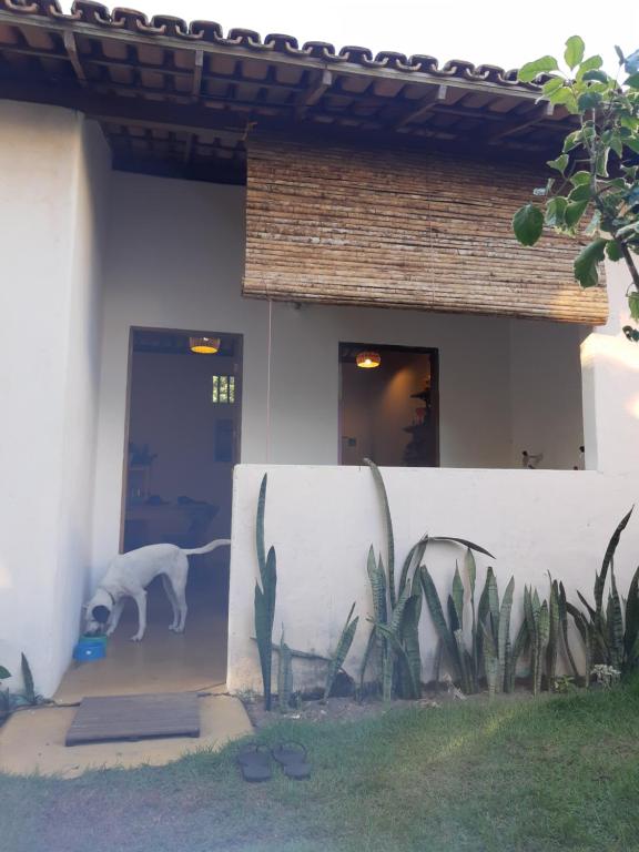  Casa Jose