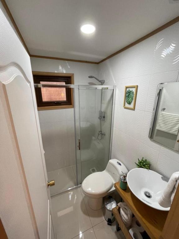 a bathroom with a shower and a toilet and a sink at Cabañas Arrayanes de Huillinco en Chiloé in Chonchi