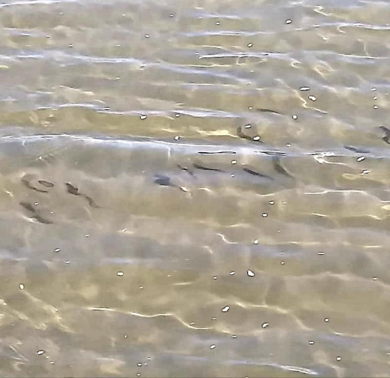  Residencial Coconut's Beach