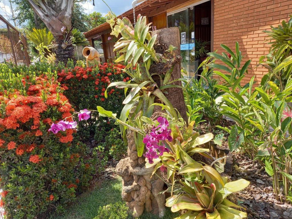  Agua Quente Hotel Pousada