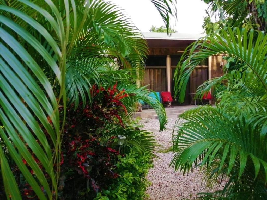 Zahrada ubytování Suite Paraiso Azul