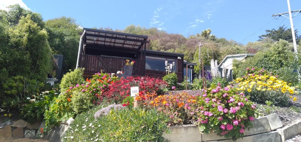 a garden of flowers in front of a house at Haven on Haven in Moeraki