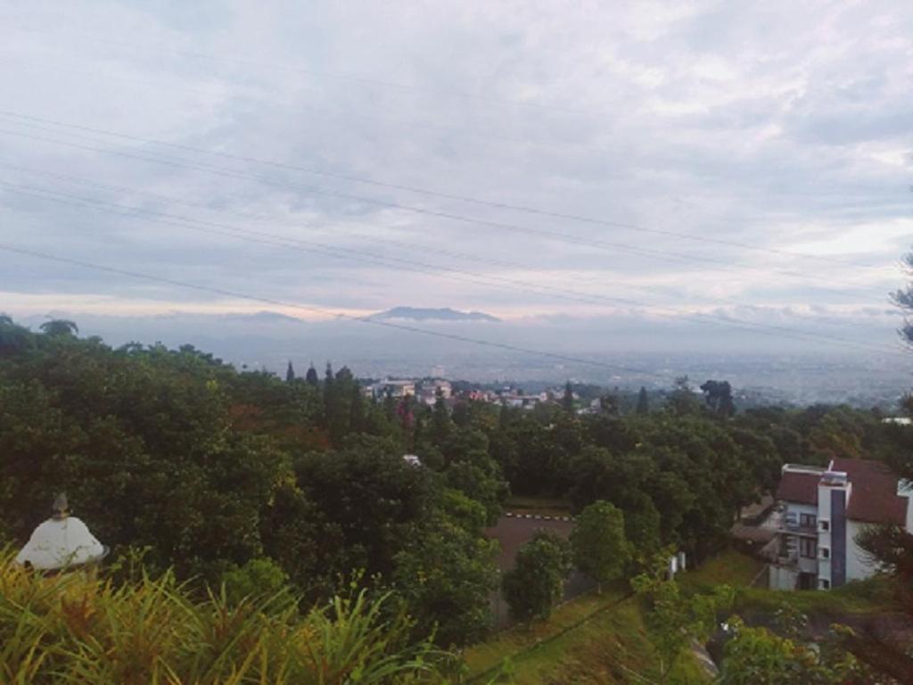 HAPPY HILLS DAGO