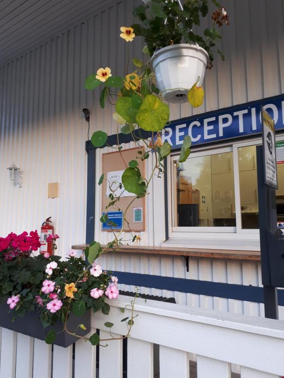 Vstupní hala nebo recepce v ubytování Camping Tornio