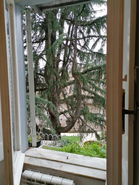 Ogród w obiekcie La Maisonette del Borgo