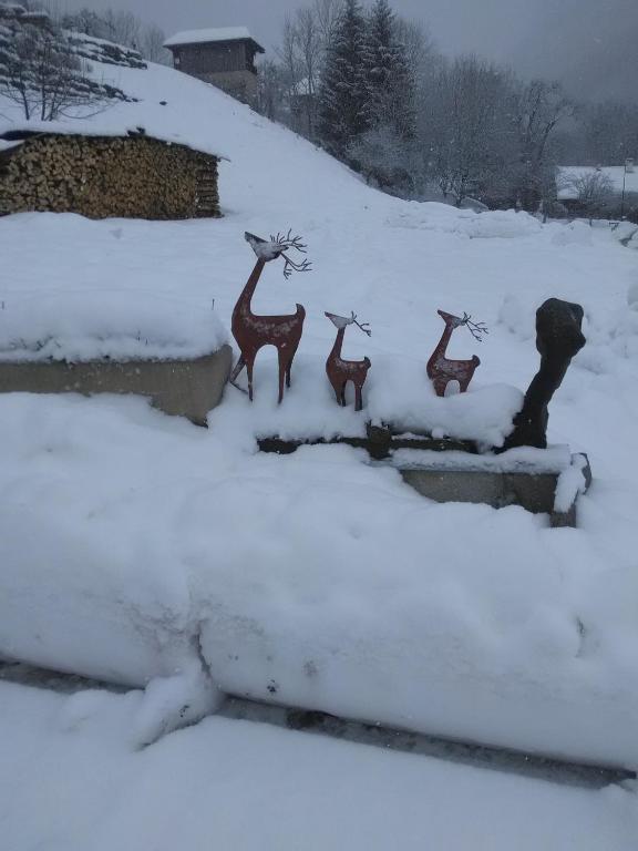 Chalet Génépi im Winter