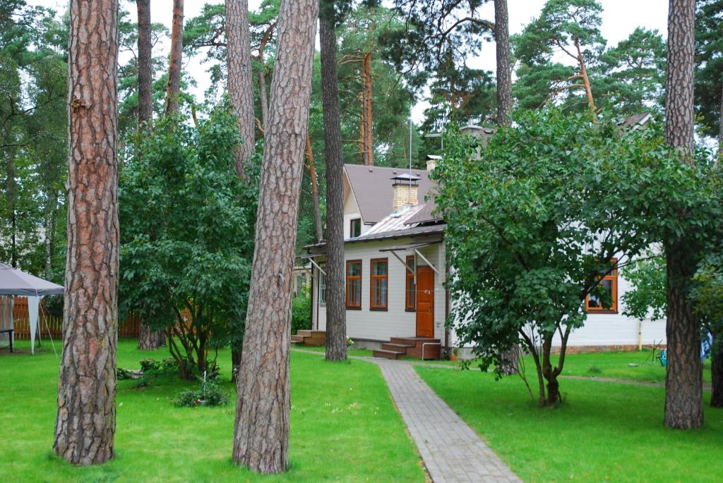 a small white house in the middle of trees at Amber Cottage in Jūrmala