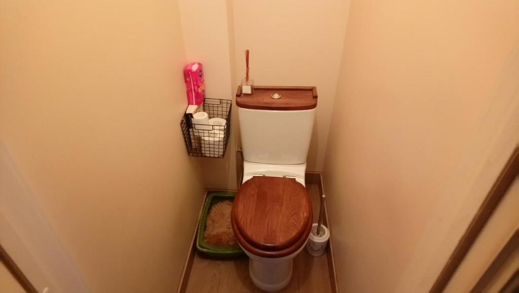 a small bathroom with a toilet with a wooden seat at Malaya-Morskaya-5 in Saint Petersburg