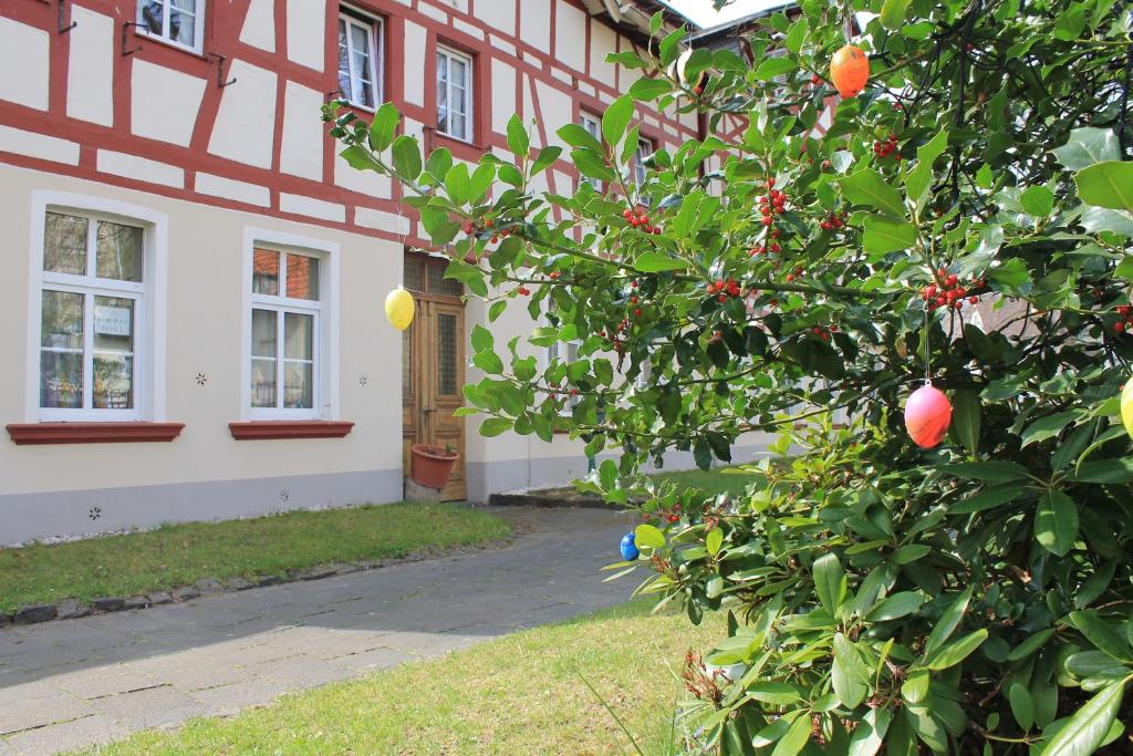 Zahrada ubytování Hotel Garni Lindenmühle