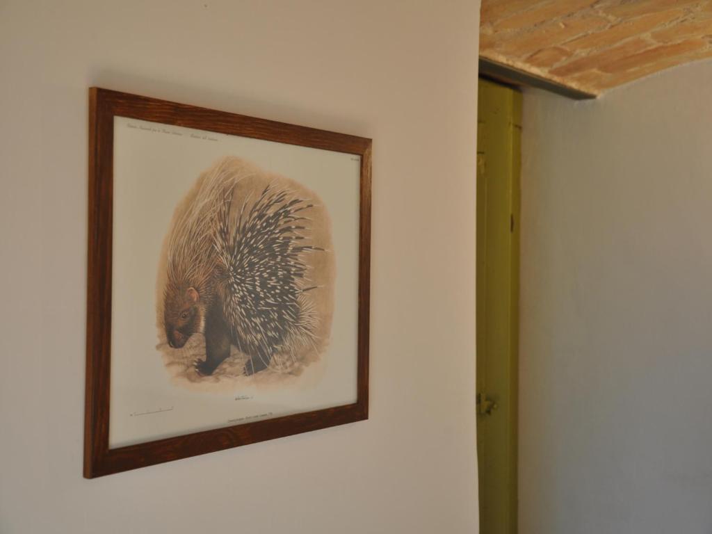 Fotografie z fotogalerie ubytování Casa Dona' Penne v destinaci Penne