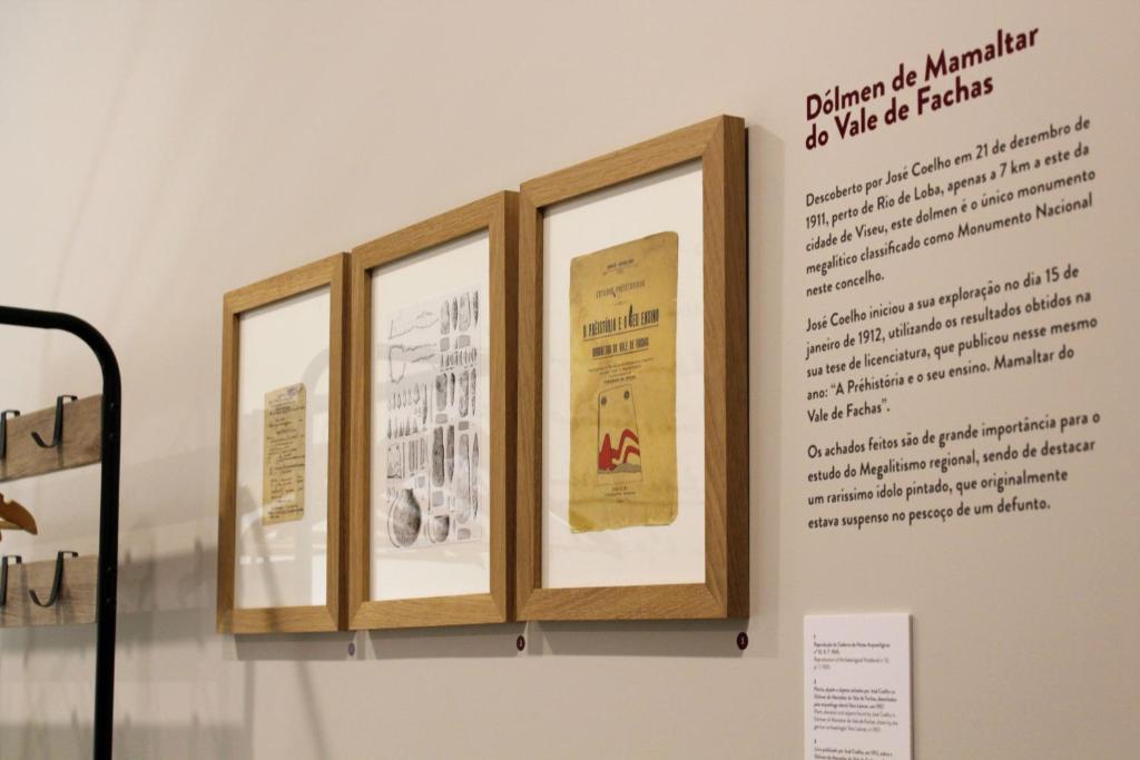 Fotografie z fotogalerie ubytování Casa da Torre - Viseu v destinaci Viseu
