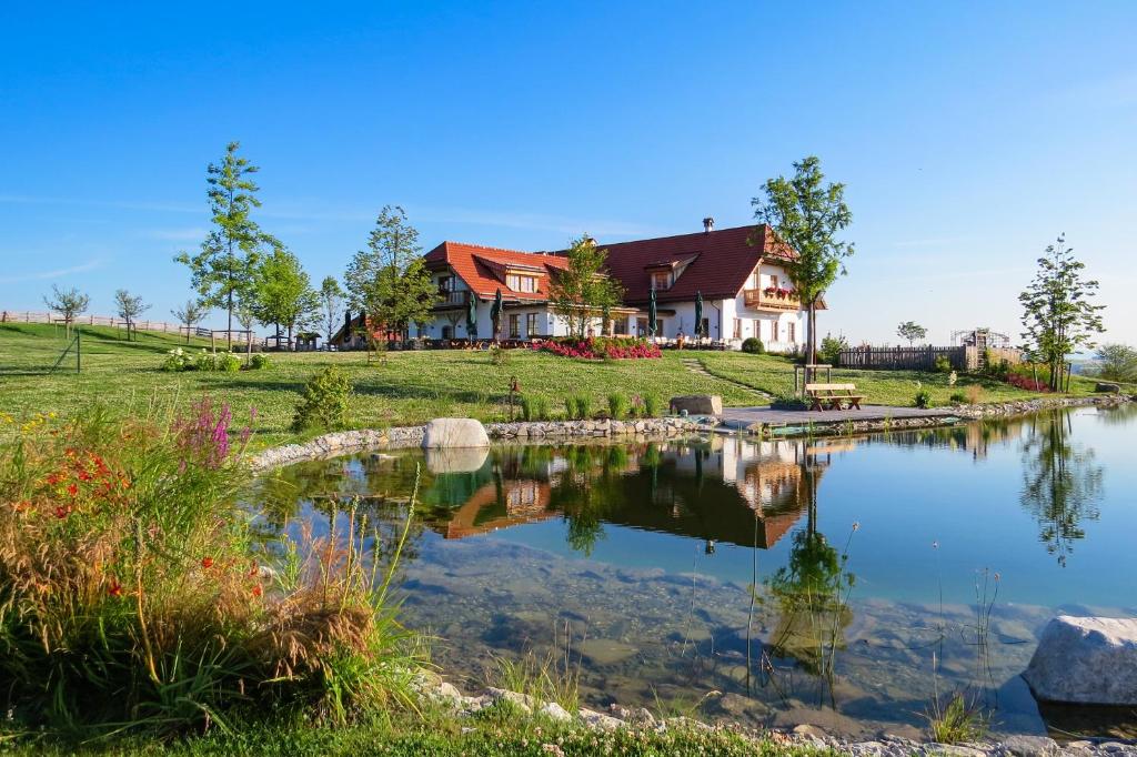 a house with a pond in front of it at Hoamat in Haibach ob der Donau