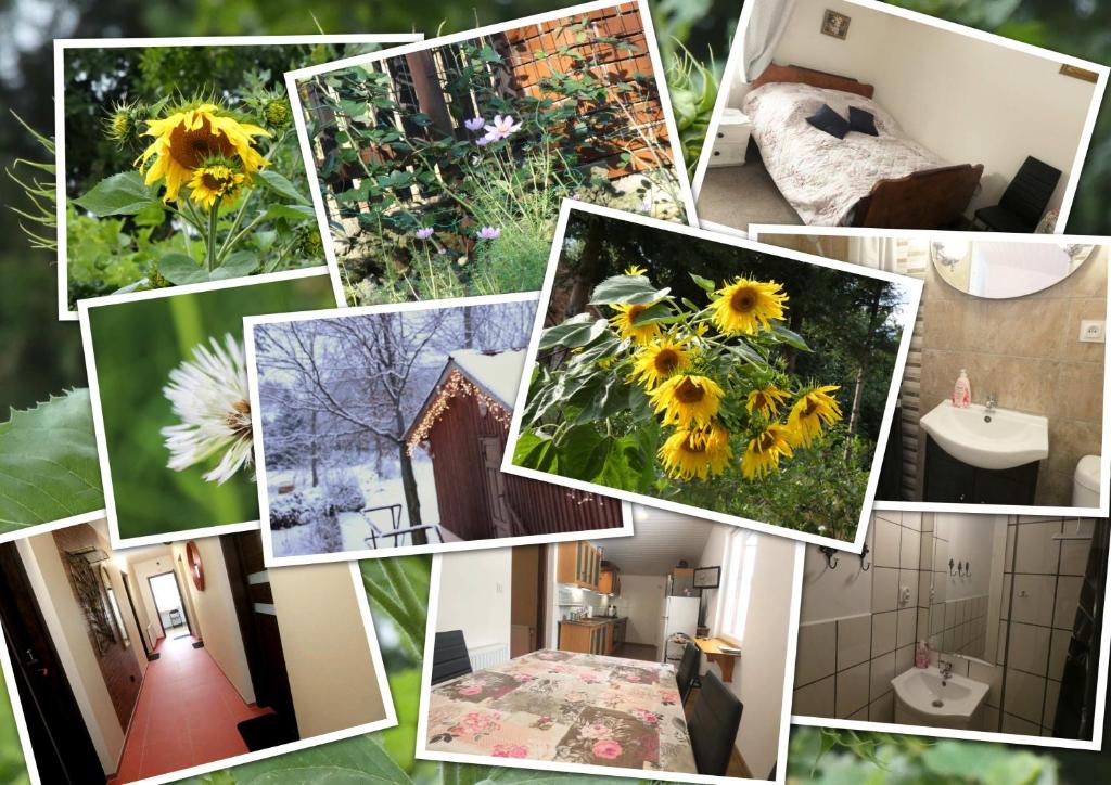 een collage van foto's van een huis met zonnebloemen bij Pokój Pod Kluczem in Wolimierz