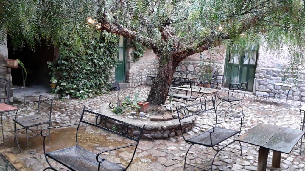 un grupo de mesas y sillas bajo un árbol en Casa de la Flia. Sánchez en Humahuaca