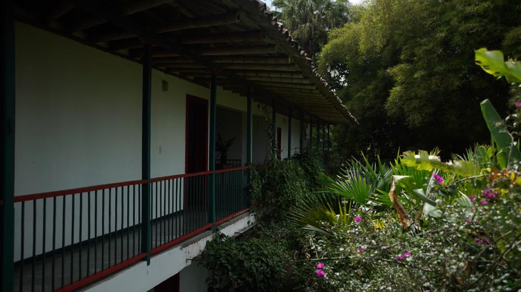 Zahrada ubytování Finca La Argelia