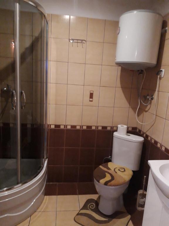 Kúpeľňa v ubytovaní Domek Regionalny- bliźniak