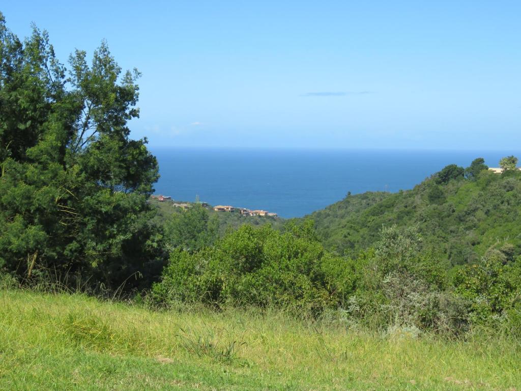 Hakuna Matata - Image 15