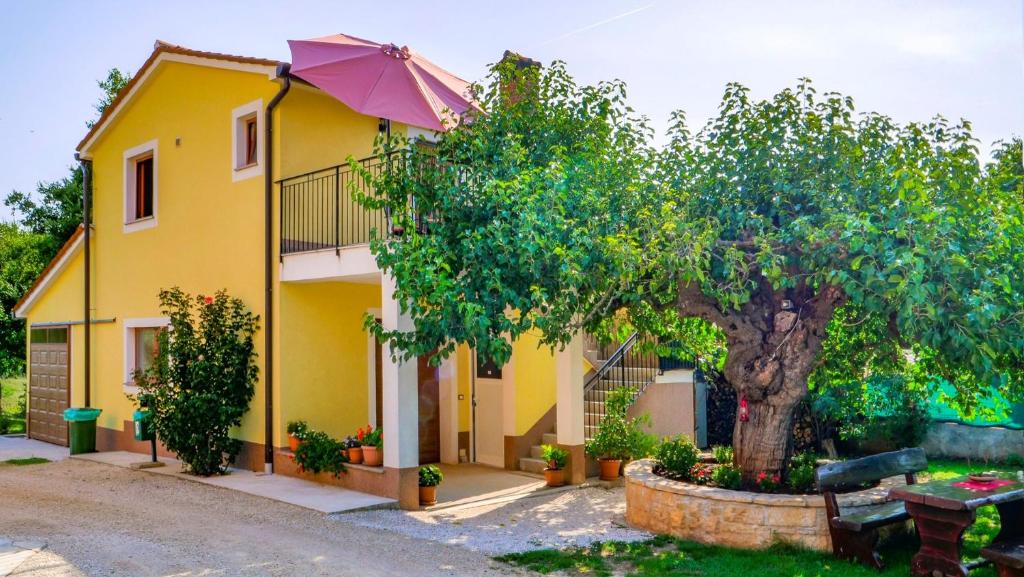 a yellow house with a tree in front of it at Studio Apartment Gianni in Vižinada