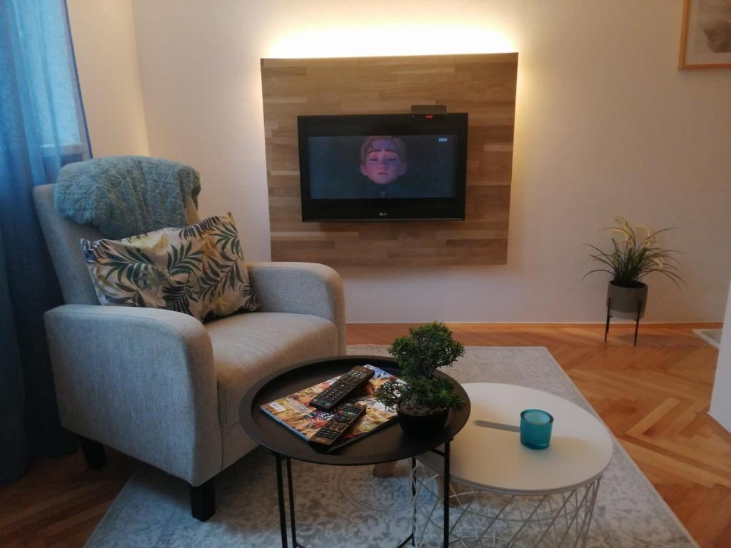 a living room with a chair and a tv at Small (34m2) modern apartment with parking place in Sarajevo