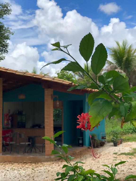  Pousada Casa Ferreira