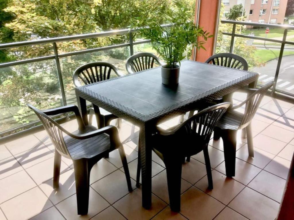 Au Coeur de Colmar – photo 11