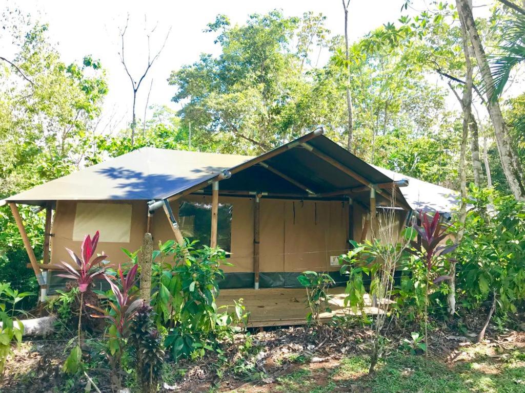Zahrada ubytování El Pulpo Safari Lodge