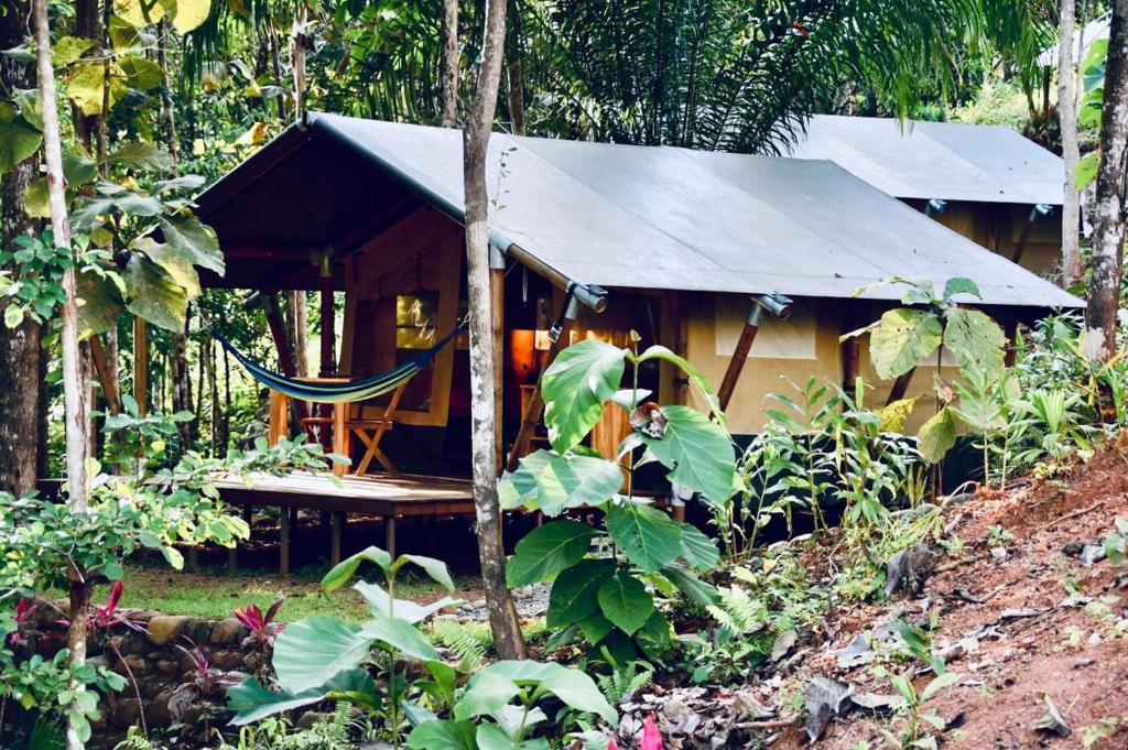 Zahrada ubytování El Pulpo Safari Lodge