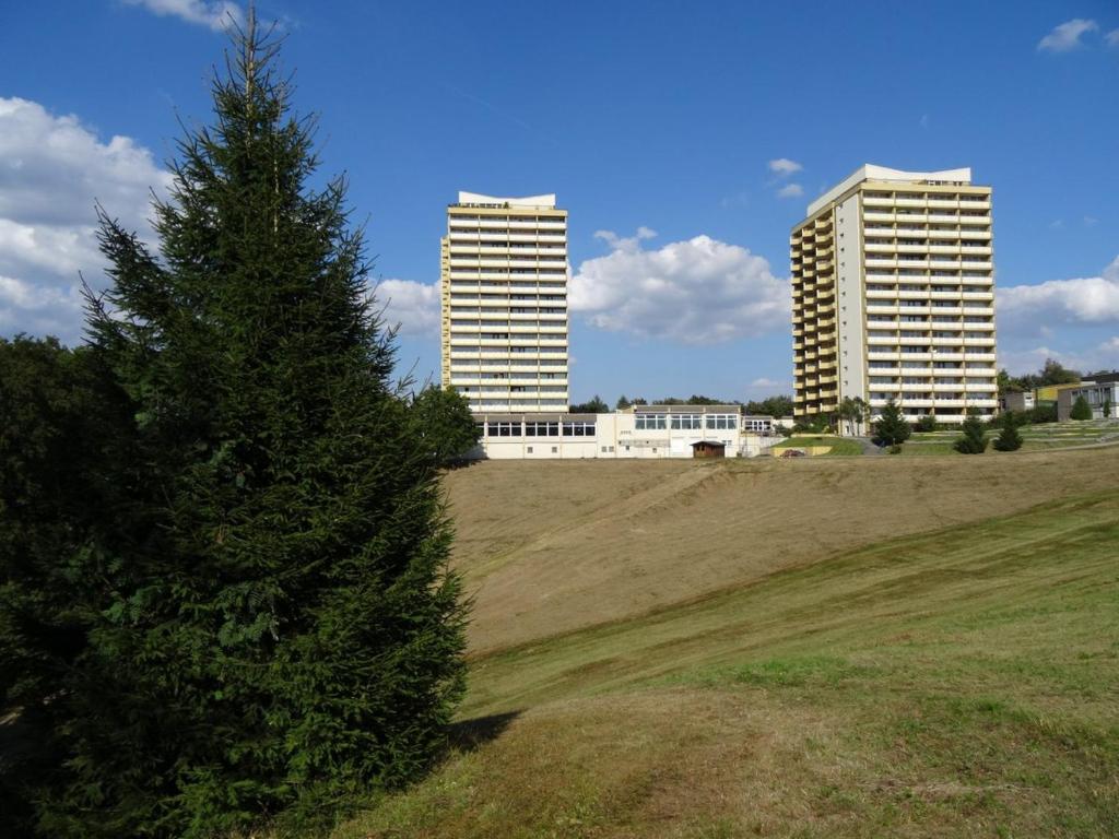a pine tree in a field with two tall buildings at Apartment 217 in Hohegeiß